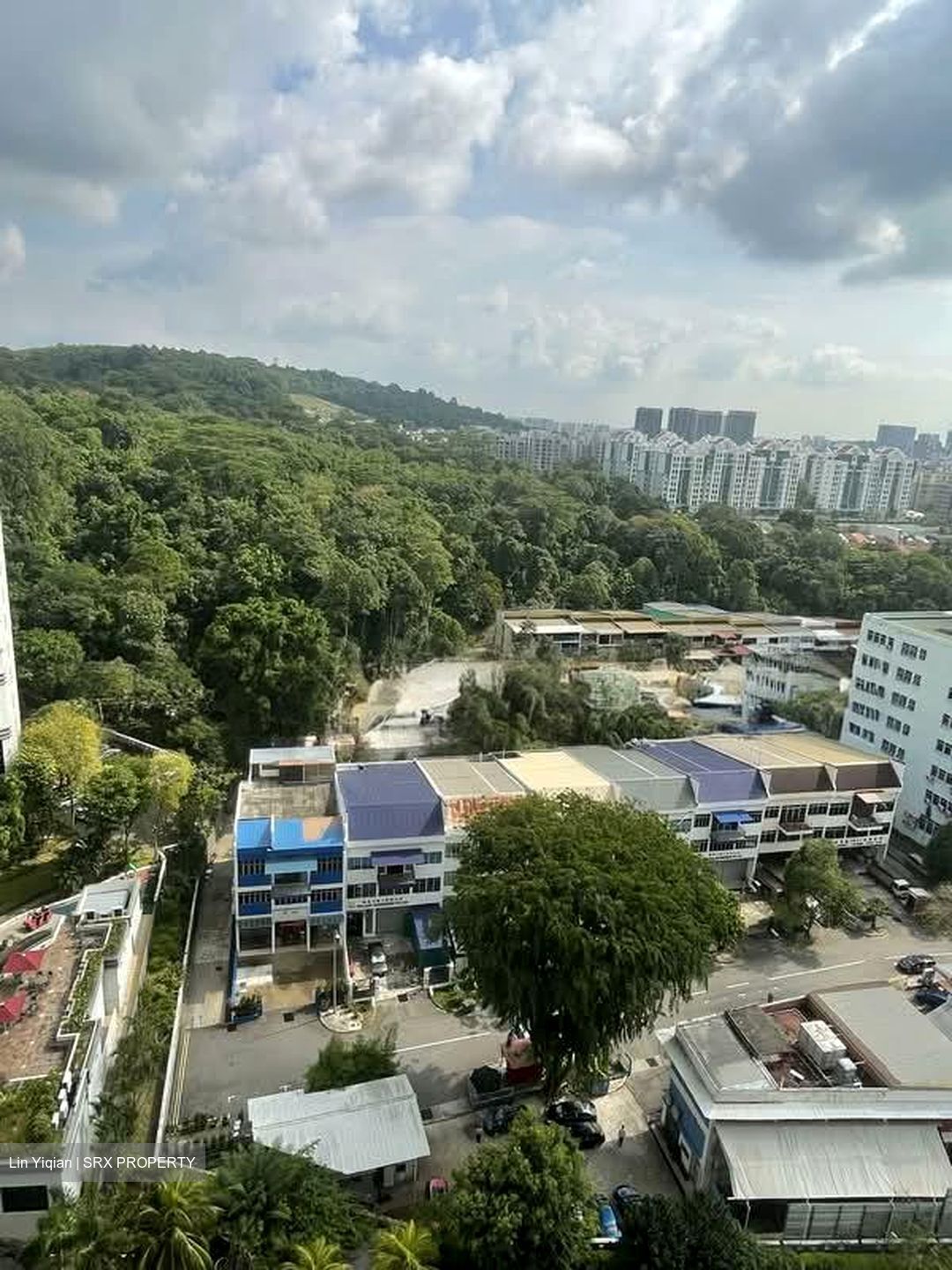 Regent Heights (D23), Condominium #546093931